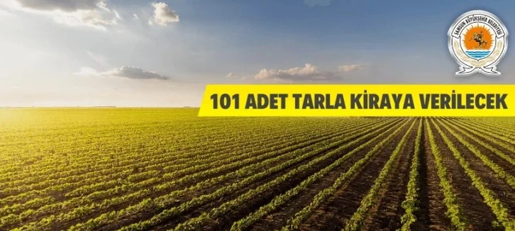 101 adet tarla kiraya verilecek