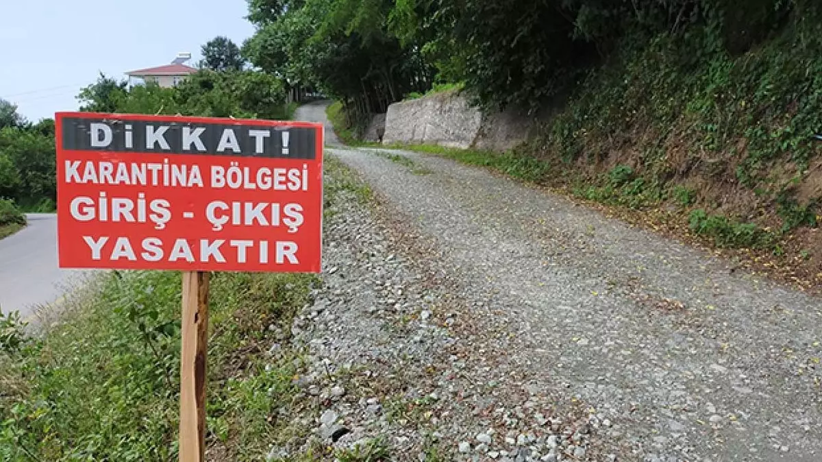12 Köyde Şap Karantinası Başlatıldı