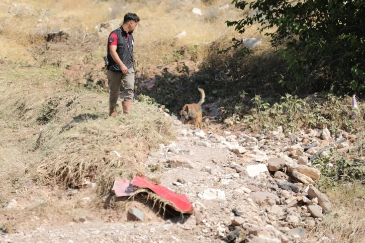 Asel Bebek Özel Eğitimli Köpeklerle Aranıyor 