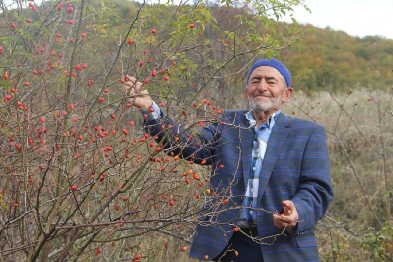 Azı Yarar Fazlası Zarar