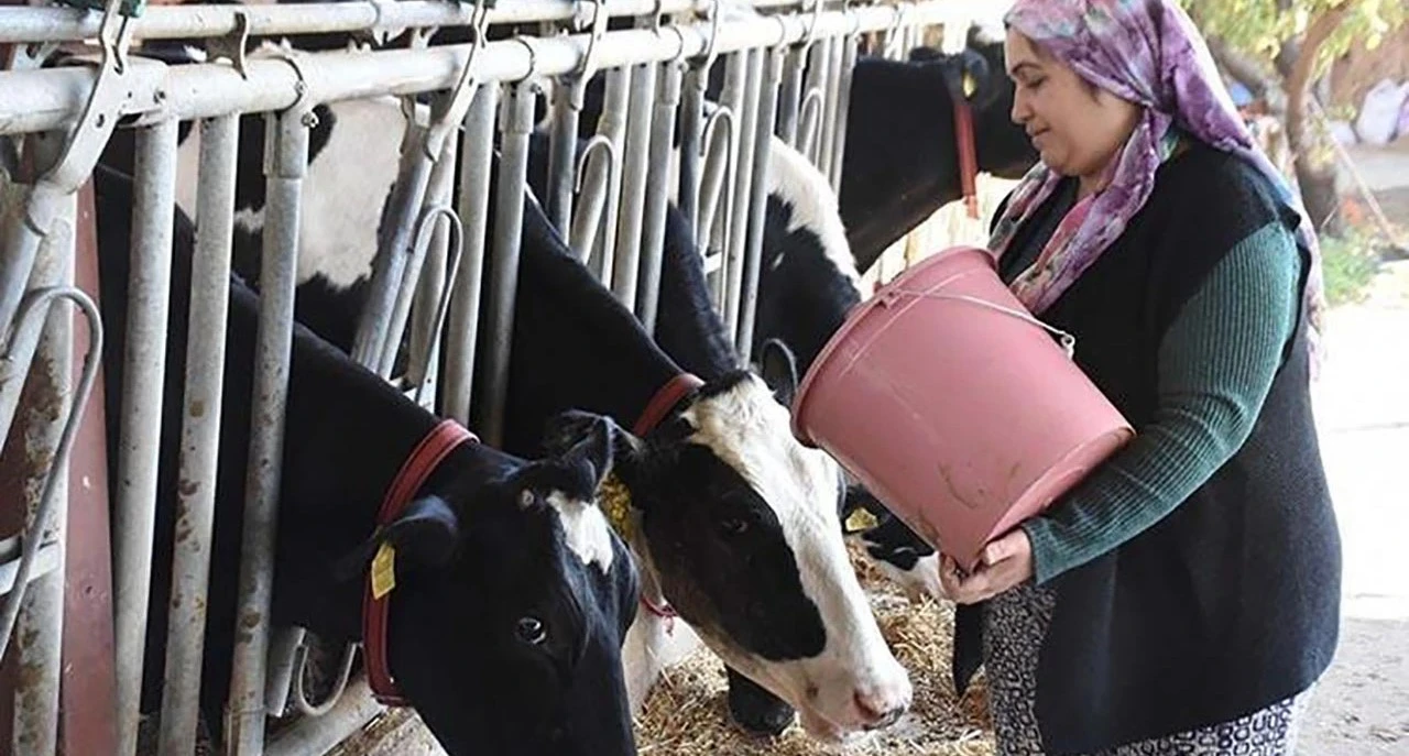 Bir Başarı Hikayesi: Hediyeyle Başladı, Sürü Sahibi Oldu