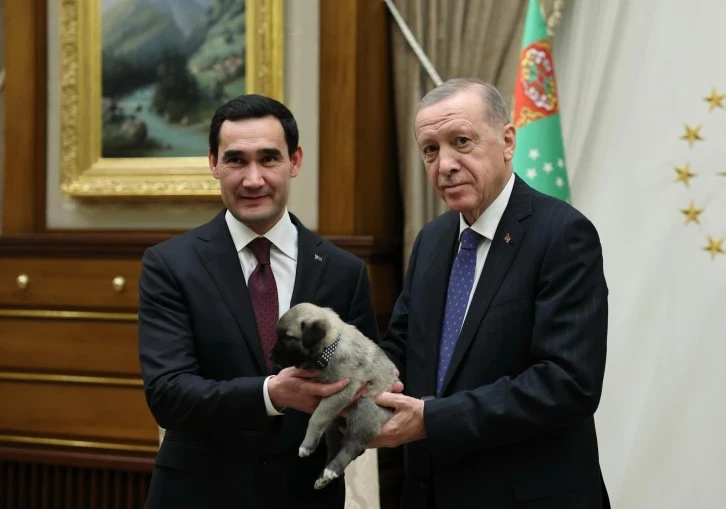 Cumhurbaşkanı Erdoğan Kangal Köpeği Hediye Etti