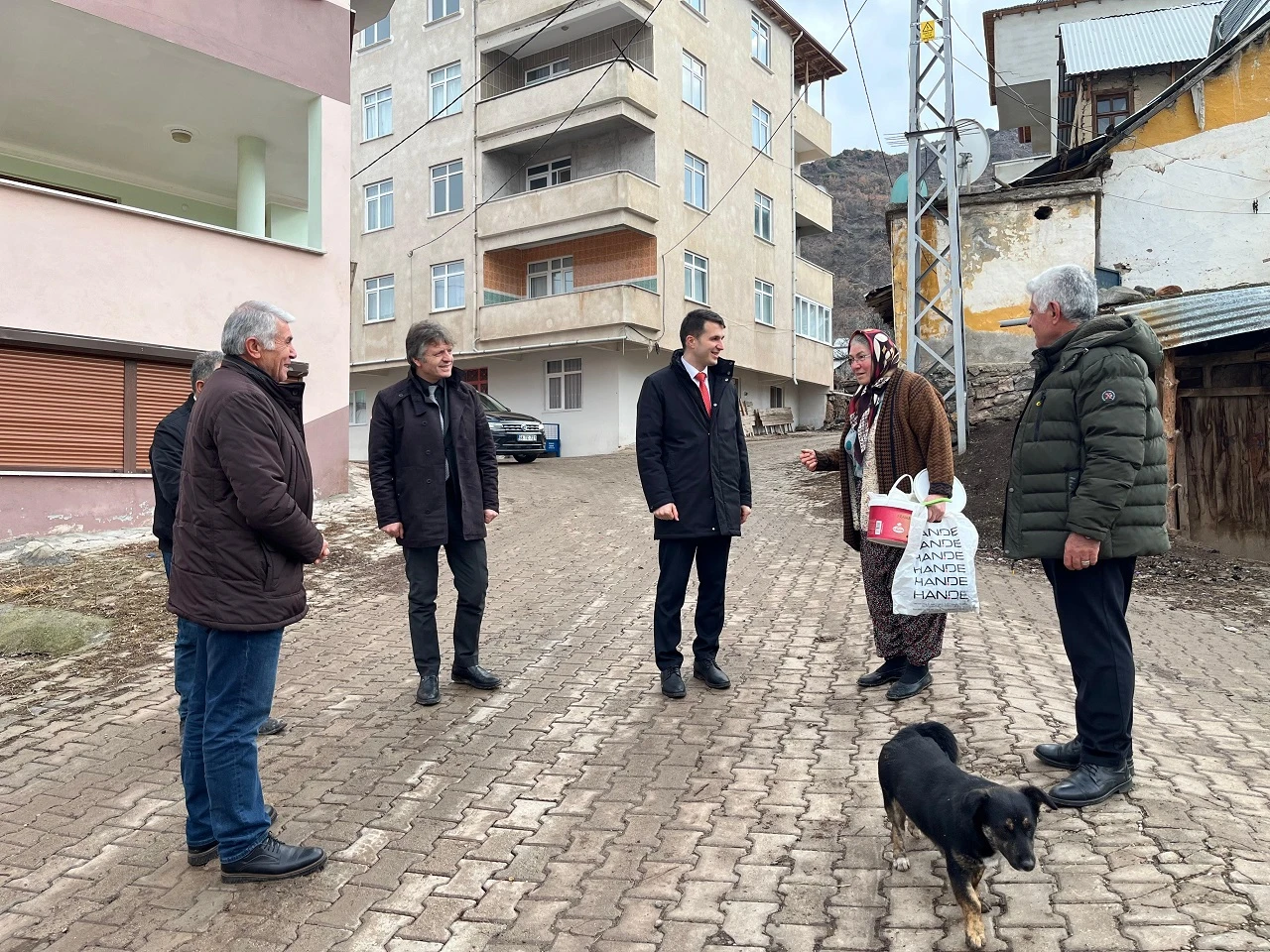 Kaymakam Türkmen, Şenbağlar köyünü ziyaret etti 