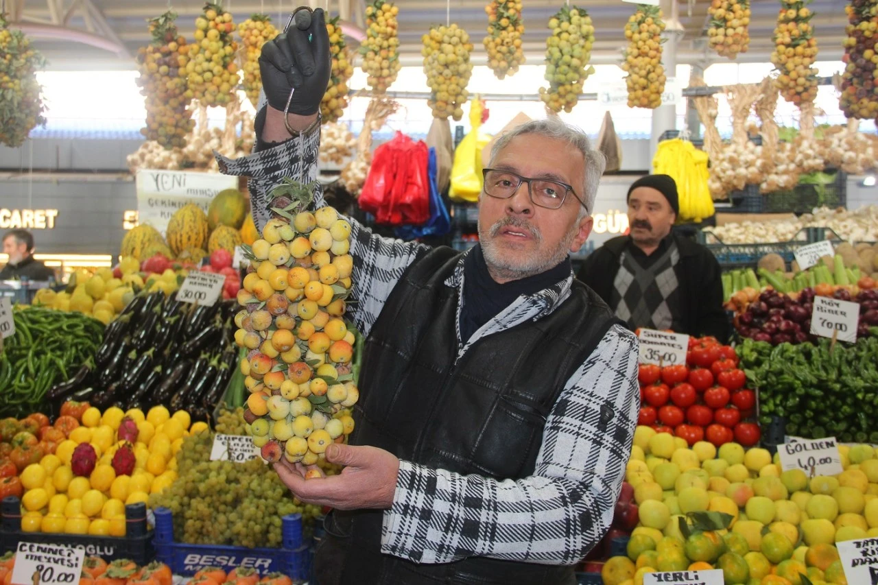 İki Yılda Bir Meyve Veriyor! Sivas'taki Tezgahlarda Yerini Aldı!