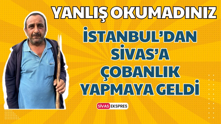 İstanbul'dan Sivas'a Çobanlık Yapmaya Geldi