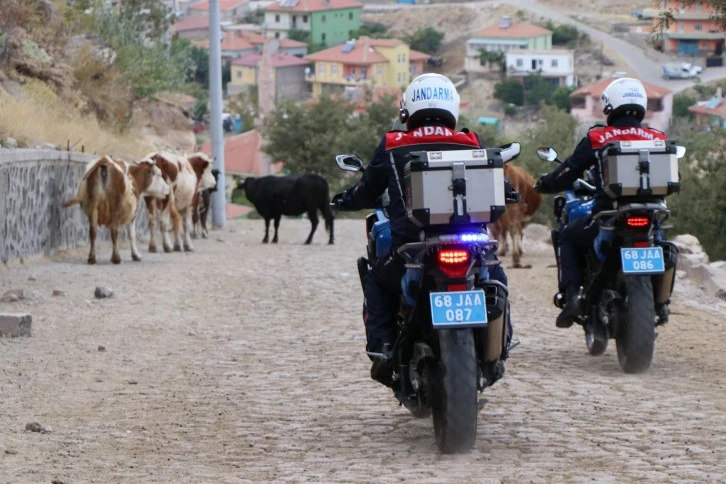 Jandarmalar Kuş Uçurmuyor