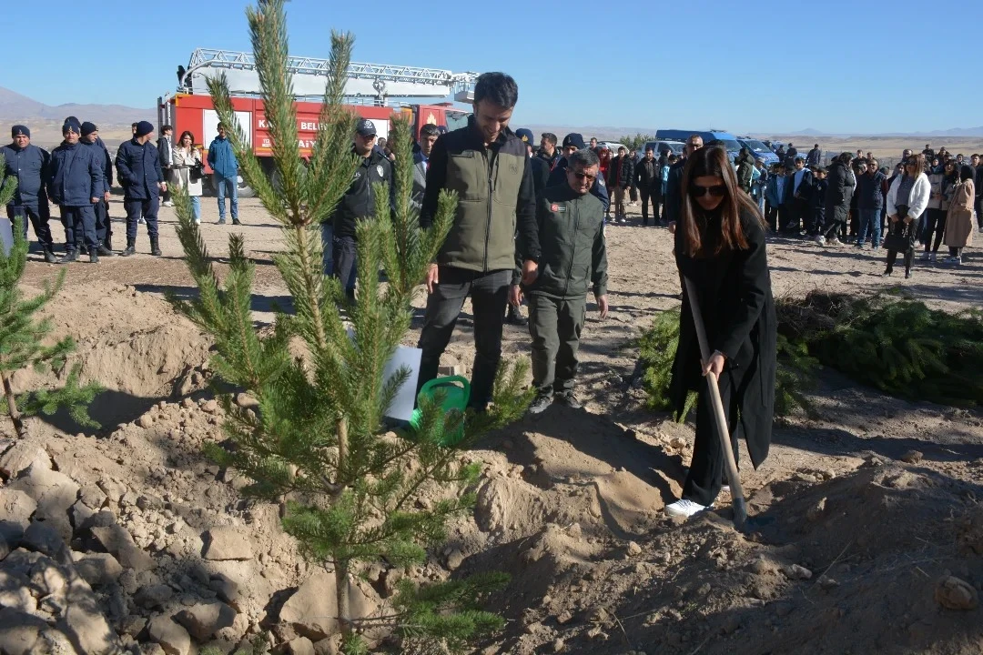 Kangal'da Fidanlar Toprakla Buluştu