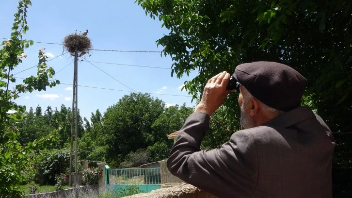 Leylekleri Dürbünle İzliyor