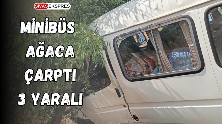 Minibüs Ağaca Çarptı: 3 Yaralı