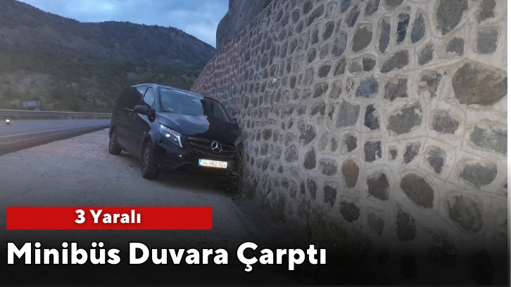 Minibüs Duvara Çarptı: 3 Yaralı