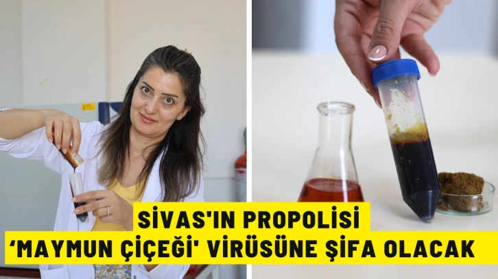 Sivas'ın Propolisi ‘Maymun Çiçeği' Virüsüne Şifa Olacak   