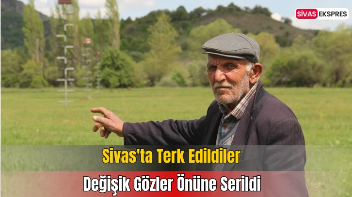 Sivas'ta Terk Edildiler, Değişik Gözler Önüne Serildi 