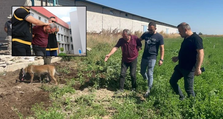 Önce öldürdü sonra başında ağladı