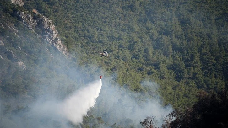 Orman Yangınlarından En Çok Bolu ve İzmir Etkilendi