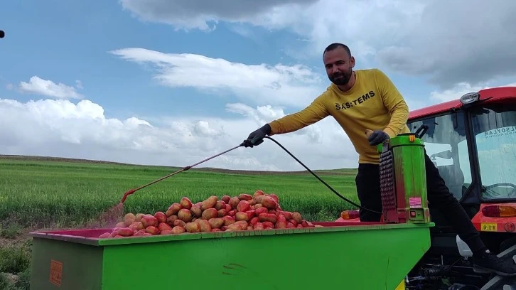 Patateste Yüksek Rekolte Beklentisi 