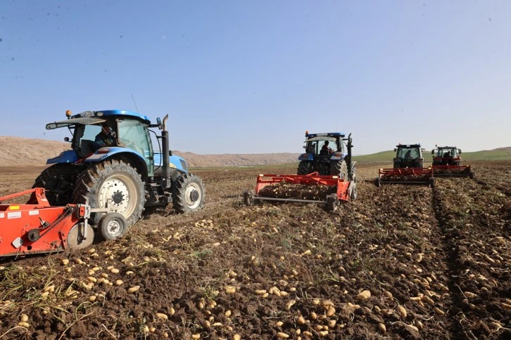 "Sivas'ta Patates Üretimi Teşvik Ediyoruz"