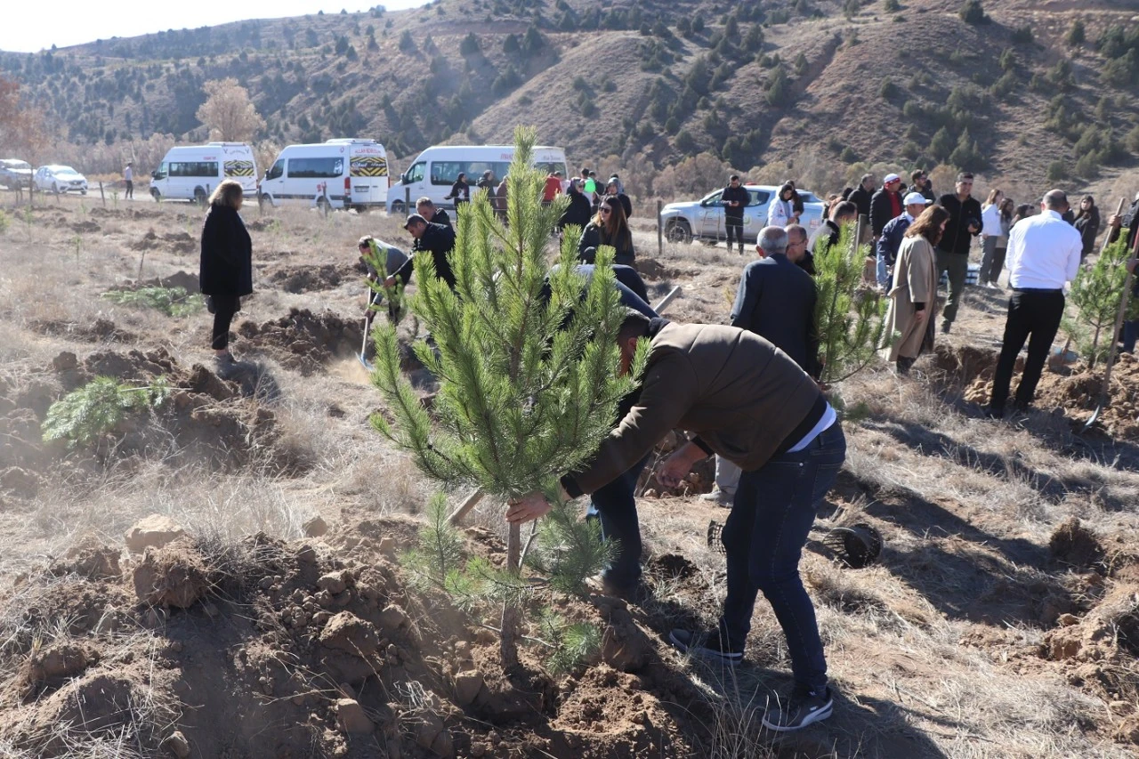 Şarkışla'da 2 Bin Fidan Toprakla Buluşturuldu