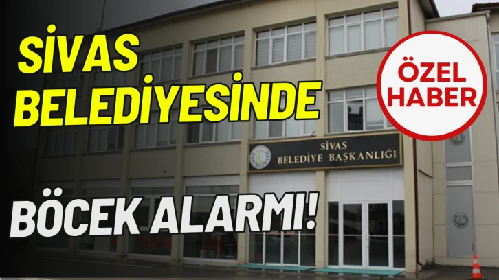 Sivas Belediyesinde Böcek Alarmı!
