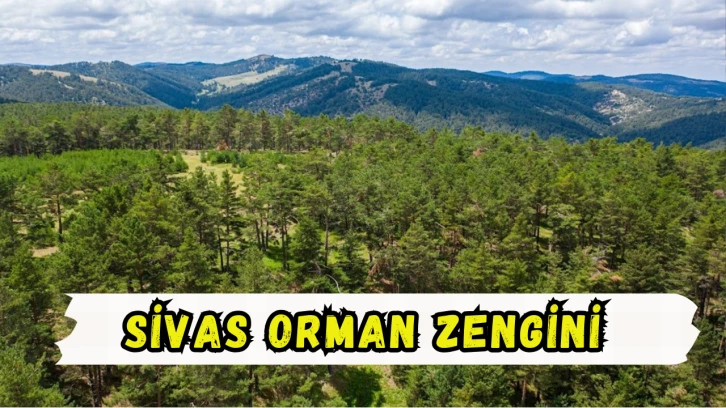 Sivas Orman Zengini