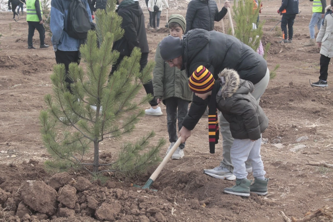 Sivas'ta 11 Bin Fidan Toprakla Buluşturuldu