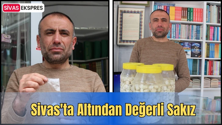 Sivas'ta Altından Değerli Sakız