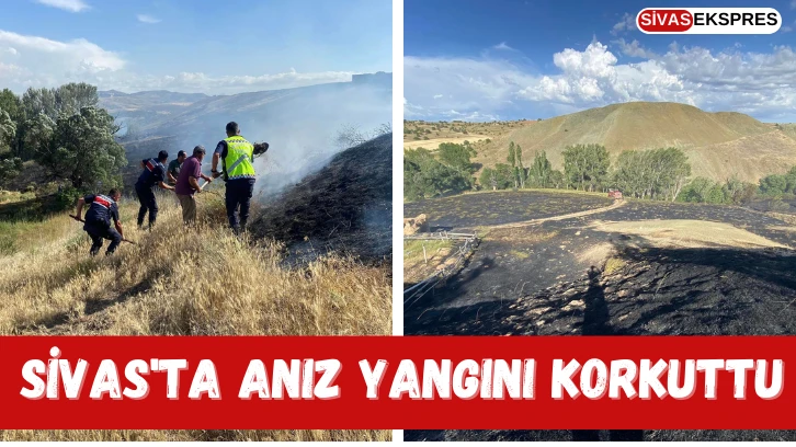 Sivas'ta Anız Yangını Korkuttu