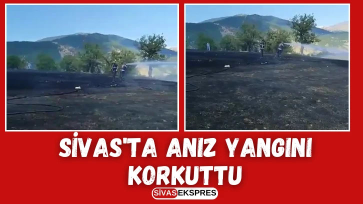 Sivas'ta Anız Yangını Korkuttu