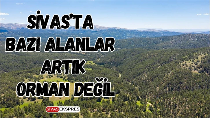 Sivas’ta Bazı Alanlar Artık Orman Değil