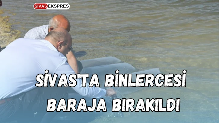 Sivas'ta Binlercesi Baraja Bırakıldı