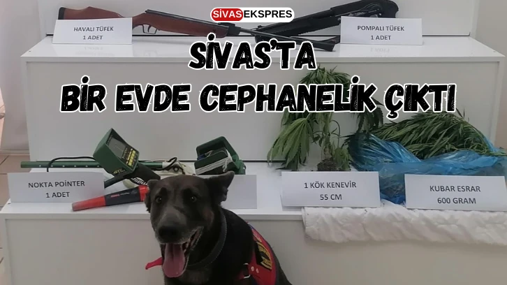 Sivas'ta Bir Evde Cephanelik Çıktı