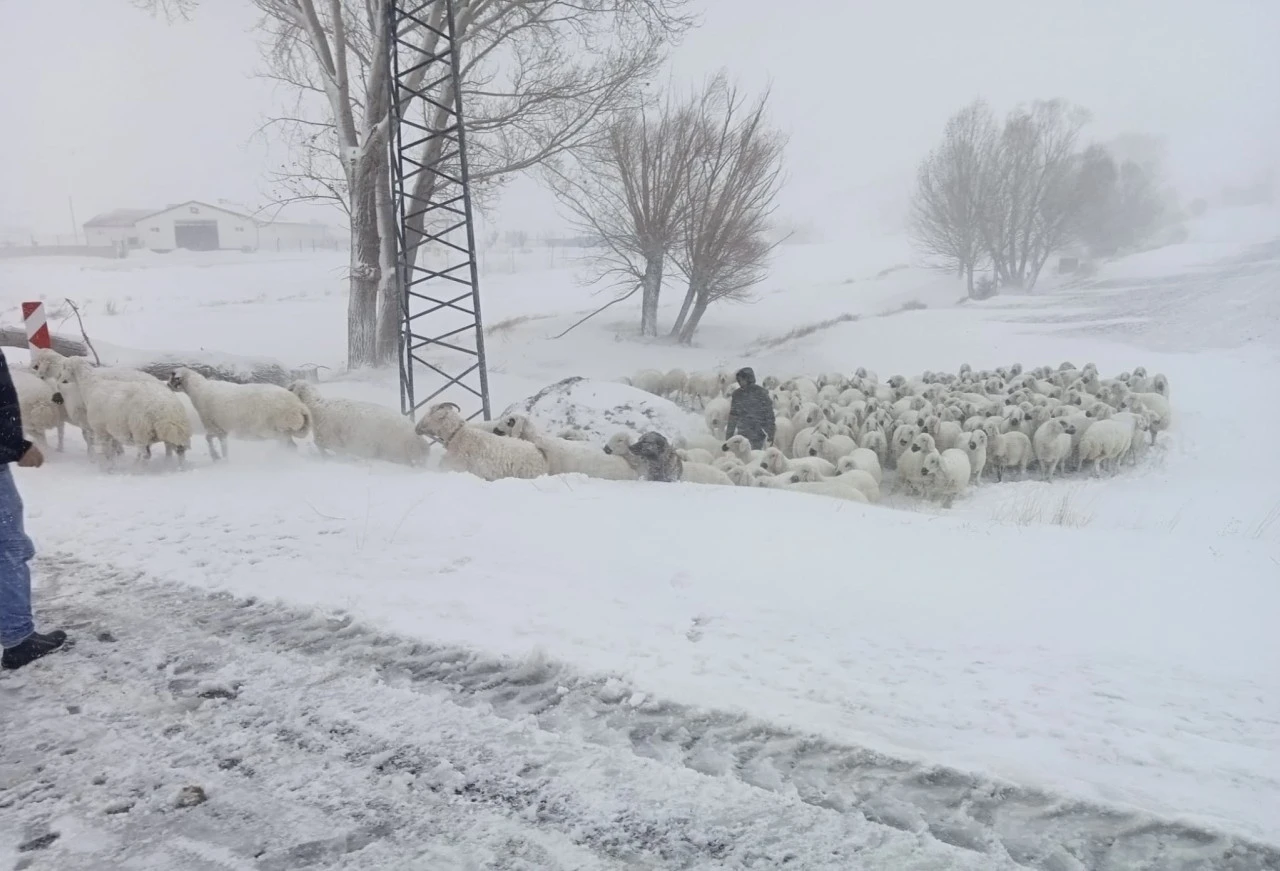 Sivas’ta Çobanları Ekipler Kurtardı