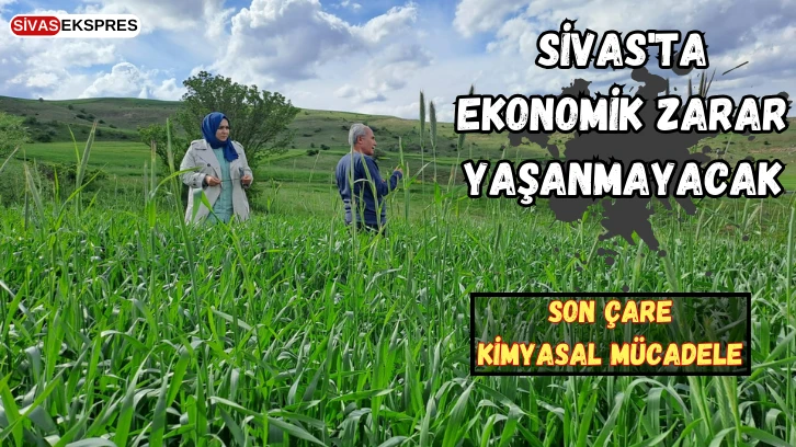 Sivas'ta Ekonomik Zarar Yaşanmayacak