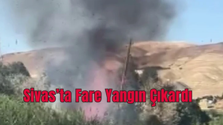 Sivas'ta Fare Yangın Çıkardı