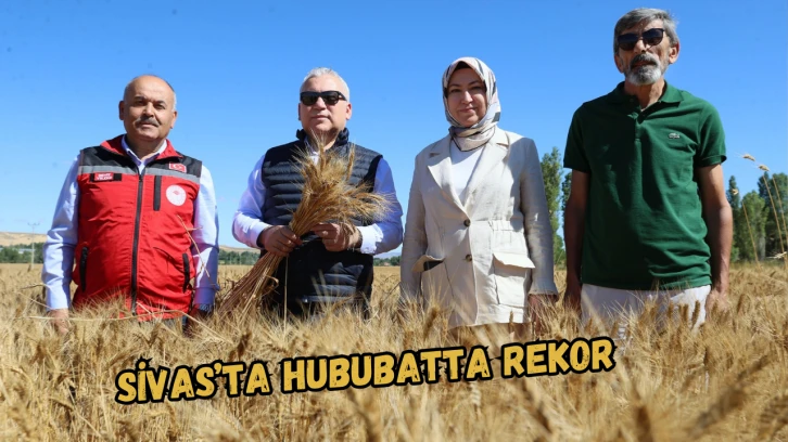 Sivas'ta Hububatta Rekor