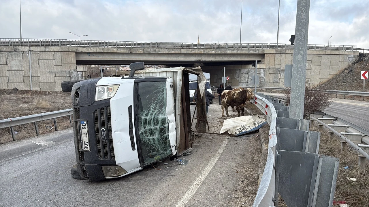 Sivas'ta Kaza, Hayvanlar Yola Saçıldı