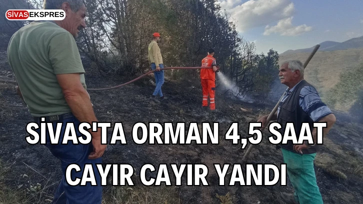 Sivas'ta Orman 4,5 Saat Cayır Cayır Yandı