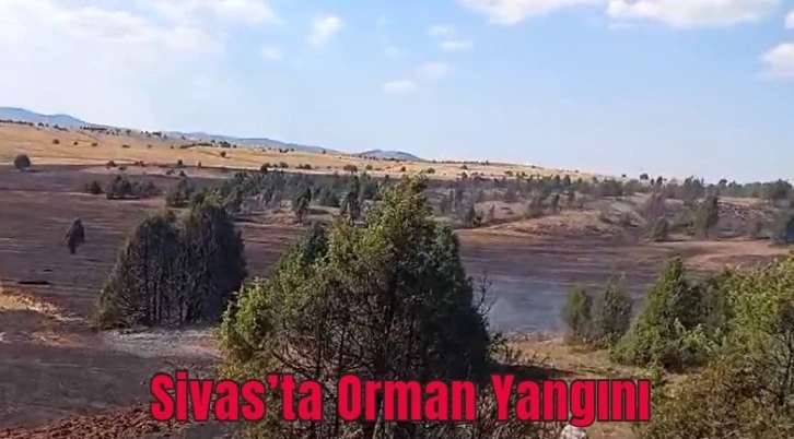 Sivas’ta Orman Yangını