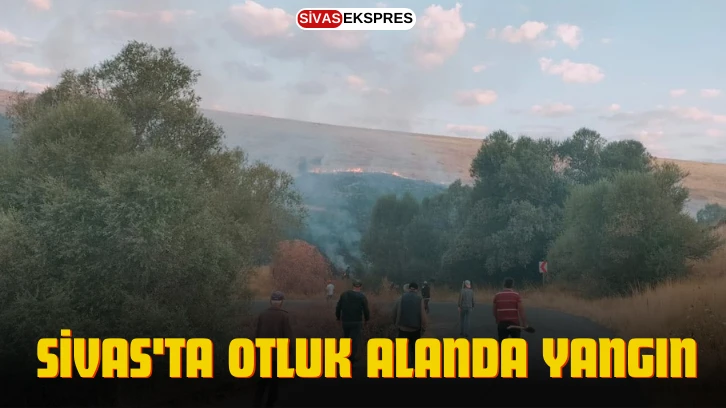 Sivas'ta Otluk Alanda Yangın