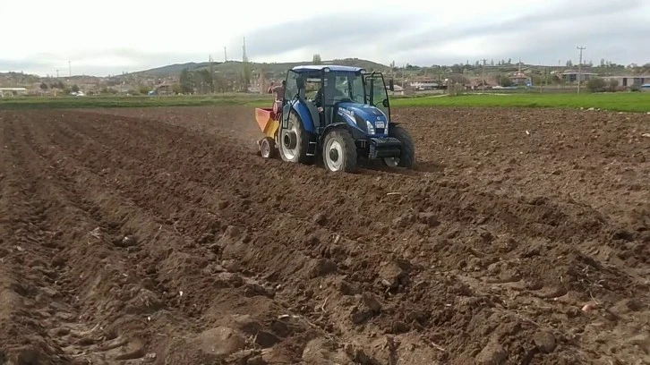 Sivas'ta Patates Ekimi Başladı