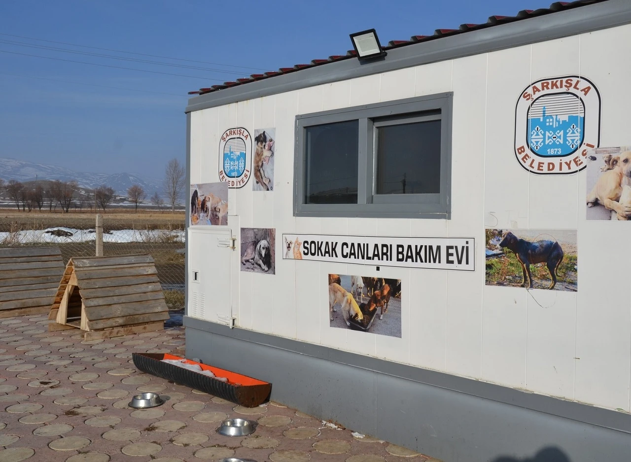 Sivas'ta Sokak Hayvanlarına Bakımevi Açıldı