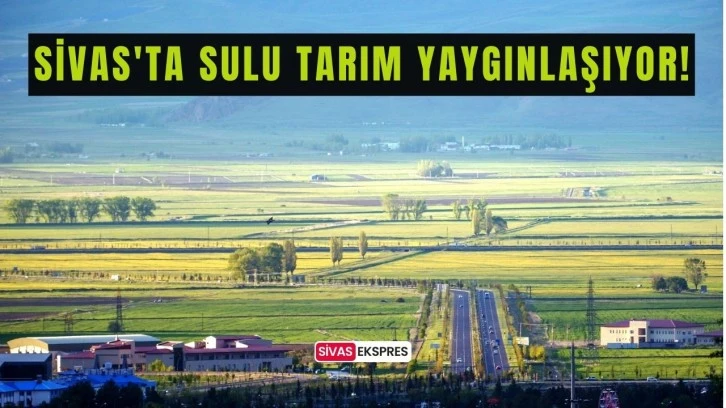 Sivas'ta Sulu Tarım Yaygınlaşıyor!