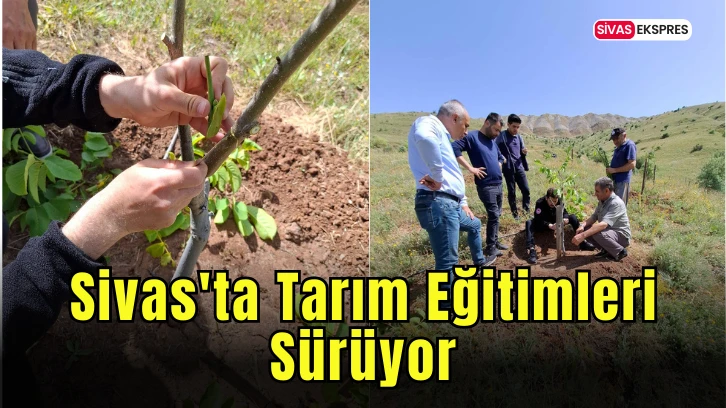 Sivas'ta Tarım Eğitimleri Sürüyor