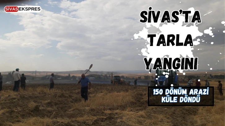 Sivas’ta Tarla Yangını: 150 Dönüm Arazi Küle Döndü