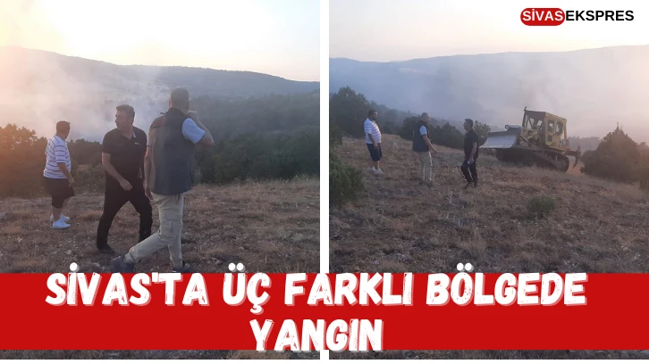 Sivas'ta Üç Farklı Bölgede Yangın