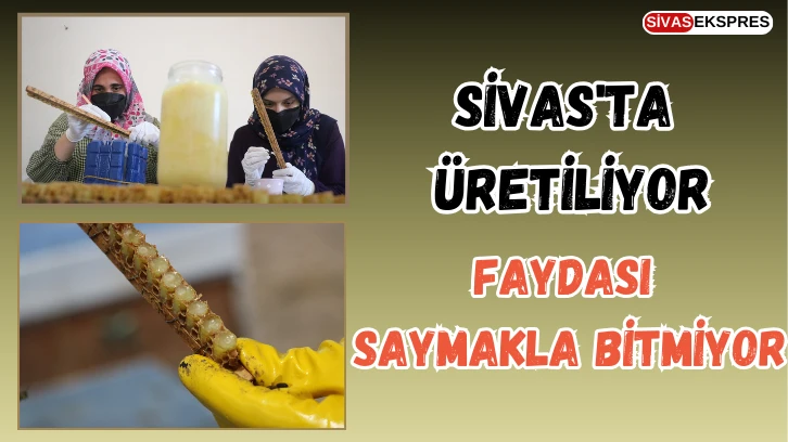 Sivas'ta Üretiliyor, Faydası Saymakla Bitmiyor