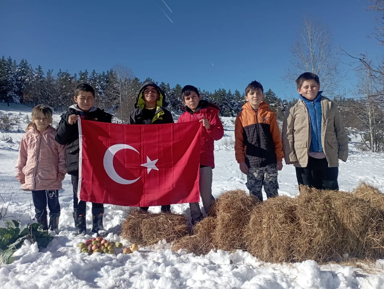 Sivas’ta Yaban Hayvanları İçin Yem Bıraktılar