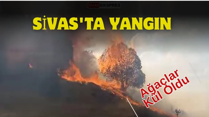 Sivas'ta Yangın, Ağaçlar Kül Oldu