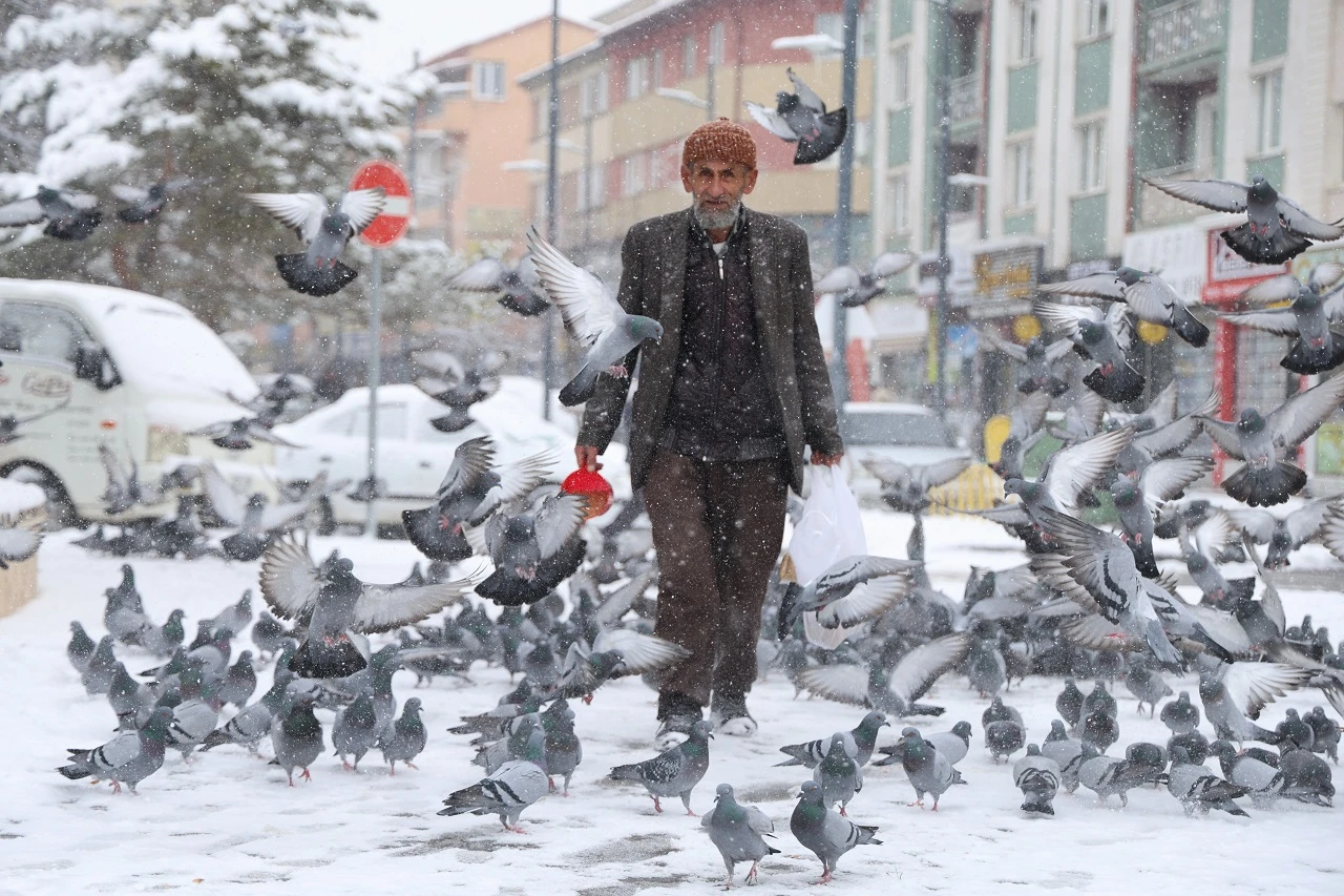 Sivaslı Ali Amcanın İlginç Kuş Besleme Hikayesi