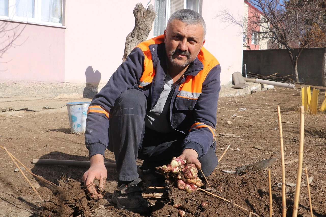 Sivaslı Üretici Şifa Deposunu Tarlasına Ekip Çoğalttı