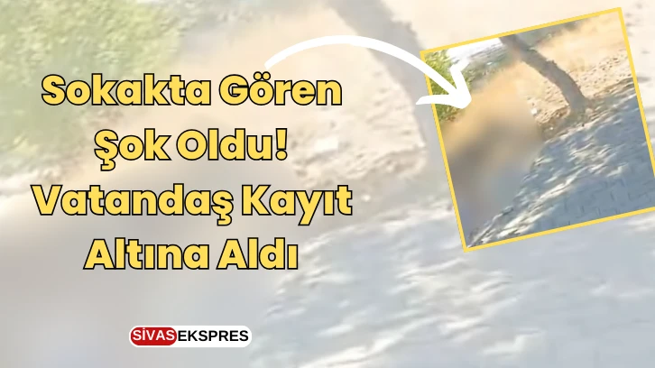 Sokakta Gören Şok Oldu! Vatandaş Kayıt Altına Aldı